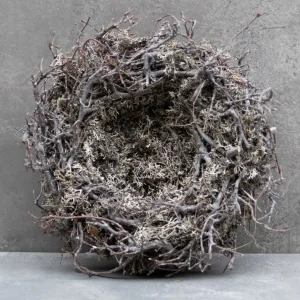 Moos Nest mit Bonsai - white wash